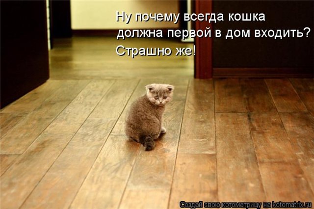 http://talovayasiti.ucoz.ru/_fr/0/1170149.jpg